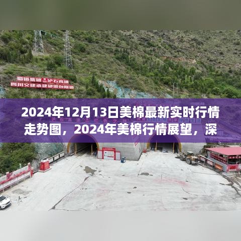 深度解析，2024年美棉行情展望與實時走勢圖背后的爭議