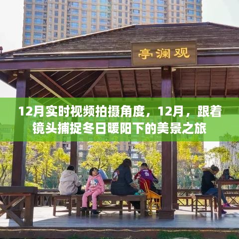 12月冬日美景之旅，捕捉暖陽下的絕佳拍攝角度