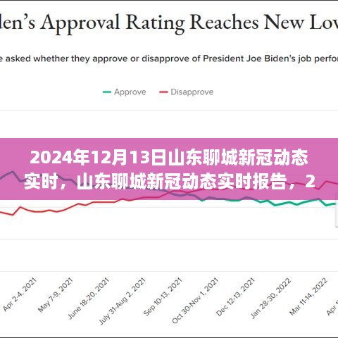 山東聊城新冠疫情動態(tài)報告，回顧與展望（2024年12月13日）