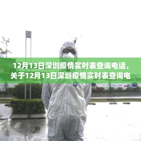 關于深圳疫情實時表查詢電話的詳細介紹與要點分析（12月13日）