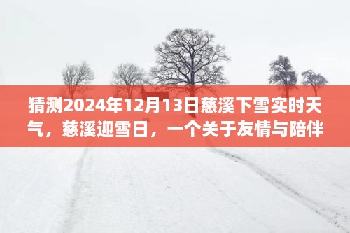 慈溪雪日溫情，友情與陪伴的溫馨故事，預(yù)測(cè)2024年12月13日實(shí)時(shí)天氣