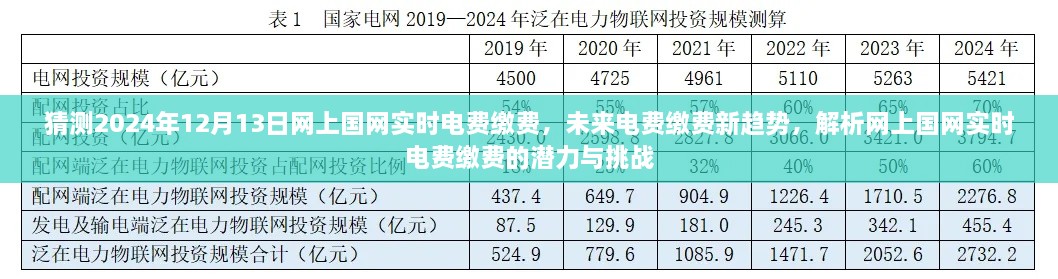 網上國網實時電費繳費趨勢解析，潛力與挑戰(zhàn)展望于2024年12月