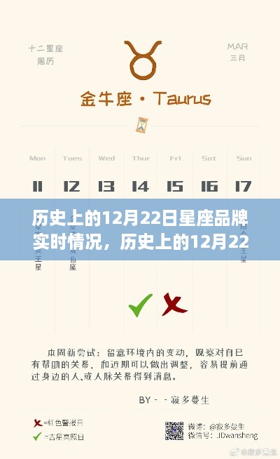 探尋星座品牌之旅，歷史上的12月22日星座品牌實時動態(tài)與心靈自然美景之旅