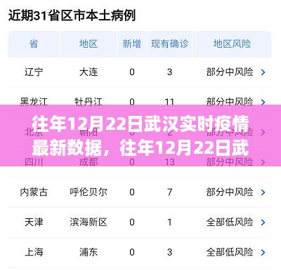 往年12月22日武漢實時疫情數(shù)據(jù)深度解析，特性、體驗、競品對比及用戶群體分析報告
