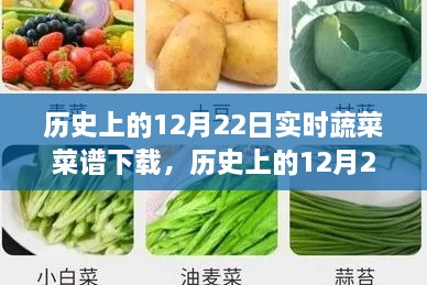 歷史上的12月22日實(shí)時(shí)蔬菜菜譜下載，價(jià)值探討與觀點(diǎn)論述