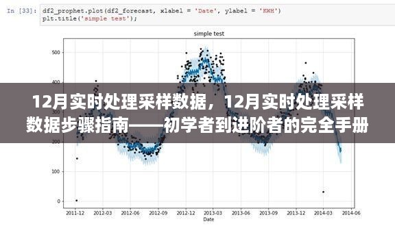 從新手到高手，12月實時處理采樣數(shù)據(jù)的完全指南與步驟解析