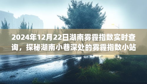 探秘湖南小巷深處，霧霾指數(shù)小站實(shí)時(shí)查詢之旅（2024年12月22日）