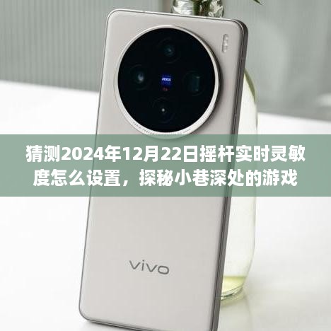 探秘游戲秘境，2024年搖桿實時靈敏度調(diào)整指南與獨特小店之旅揭秘游戲細節(jié)，小巷深處的游戲秘境等你來探探。