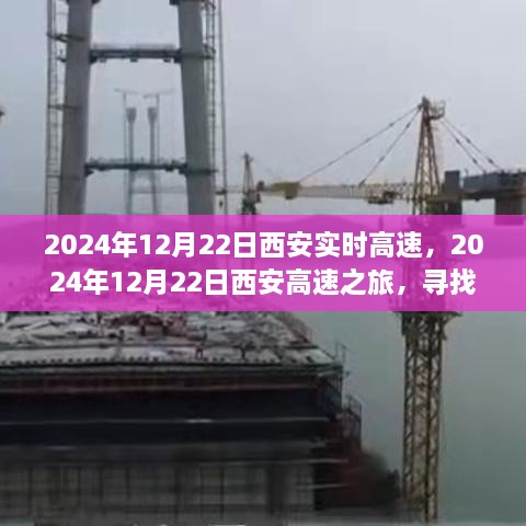 西安高速之旅，探尋自然懷抱，心靈寧靜之旅（2024年12月22日）