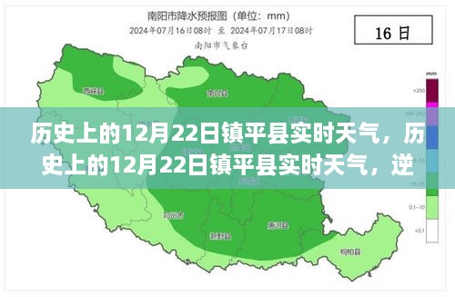 2024年12月25日 第14頁