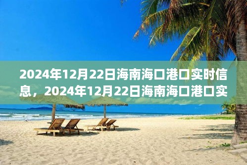 2024年12月22日海南?？诟劭趯?shí)時(shí)信息全解析，小紅書帶你掌握最新動(dòng)態(tài)