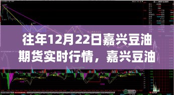 往年12月22日嘉興豆油期貨行情回顧，溫情時(shí)光與期貨市場(chǎng)的奇妙交匯