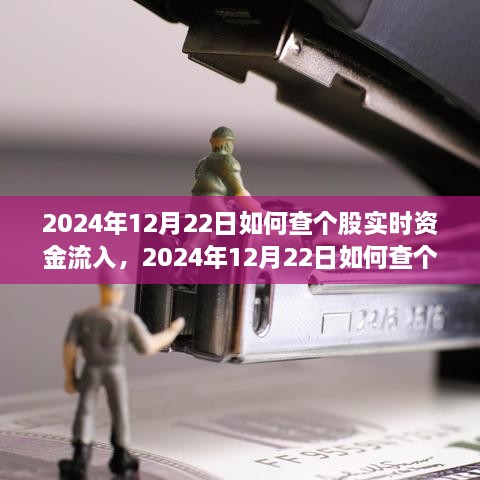 多維度解析與觀點探討，如何查詢個股實時資金流入——以2024年12月22日為例