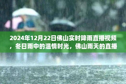 溫情時光與友情故事，佛山雨天直播實錄，實時降雨直播視頻