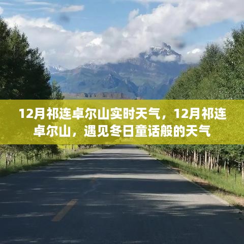 12月祁連卓爾山，冬日童話般的天氣實時報告