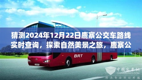 鹿寨公交路線新探秘，啟程2024年12月22日，探尋自然美景之旅實時查詢