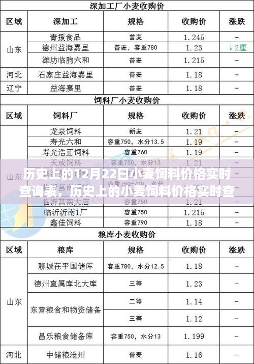 歷史上的小麥飼料價格實時查詢表，聚焦12月22日的觀察與變化