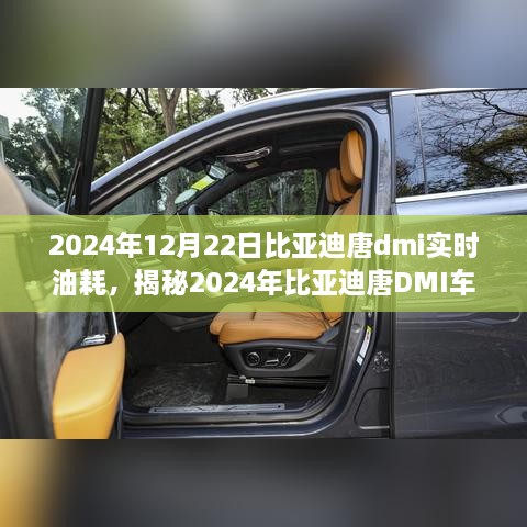 揭秘深度解析，2024年比亞迪唐DMI車型實時油耗解析