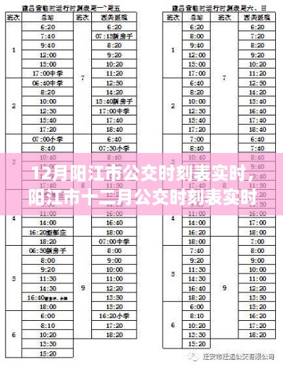 陽江市公交時刻表實時更新解析，十二月公交運營動態(tài)觀察