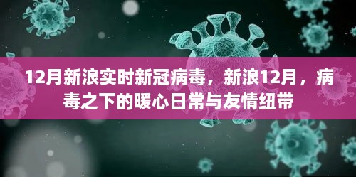 新浪12月，病毒下的暖心日常與友情紐帶，實(shí)時(shí)新冠病毒報(bào)道