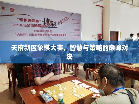 天府新區(qū)象棋大賽，智慧與策略的巔峰對決