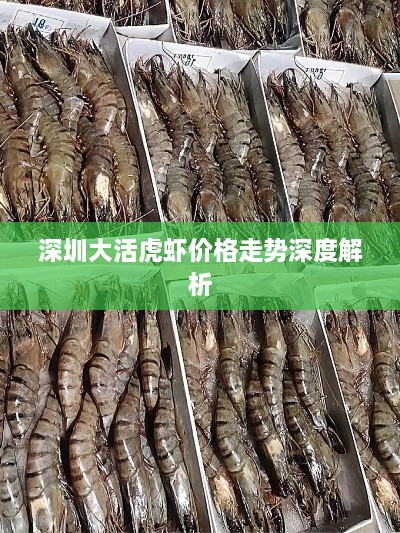 深圳大活虎蝦價(jià)格走勢深度解析