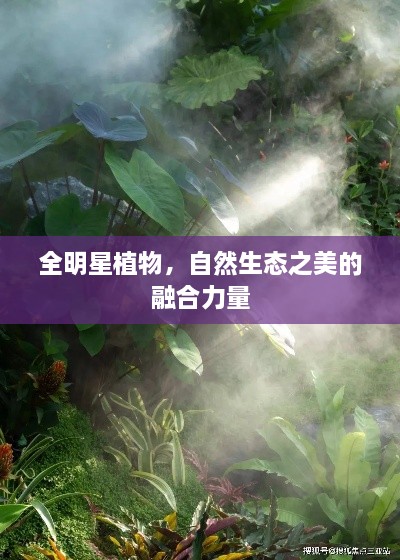 全明星植物，自然生態(tài)之美的融合力量