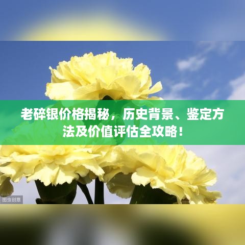 老碎銀價格揭秘，歷史背景、鑒定方法及價值評估全攻略！