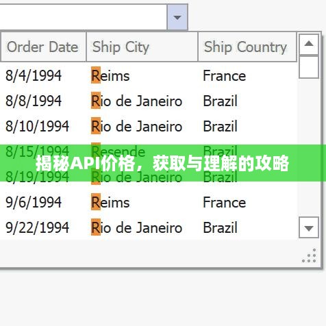 揭秘API價(jià)格，獲取與理解的攻略