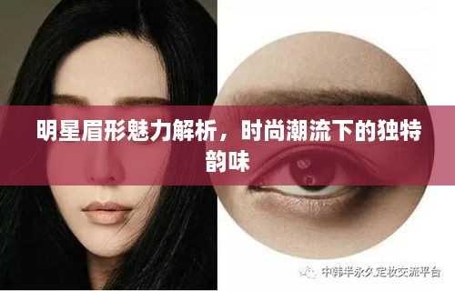 明星眉形魅力解析，時尚潮流下的獨特韻味