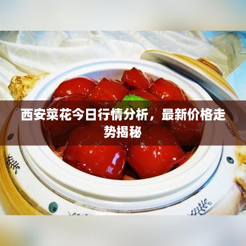 西安菜花今日行情分析，最新價(jià)格走勢(shì)揭秘