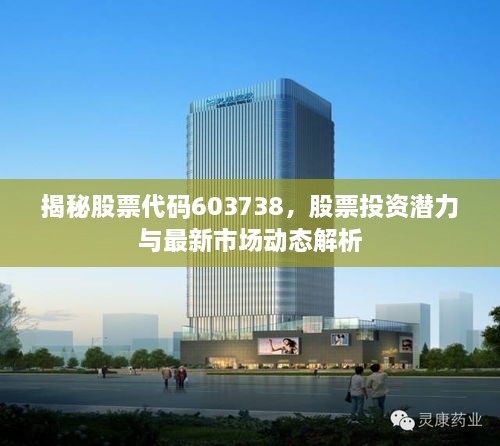 揭秘股票代碼603738，股票投資潛力與最新市場(chǎng)動(dòng)態(tài)解析