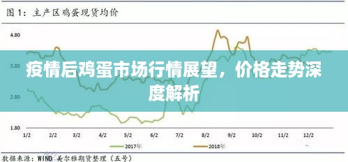 疫情后雞蛋市場行情展望，價(jià)格走勢深度解析