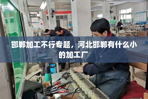 邯鄲加工不行專題，河北邯鄲有什么小的加工廠 