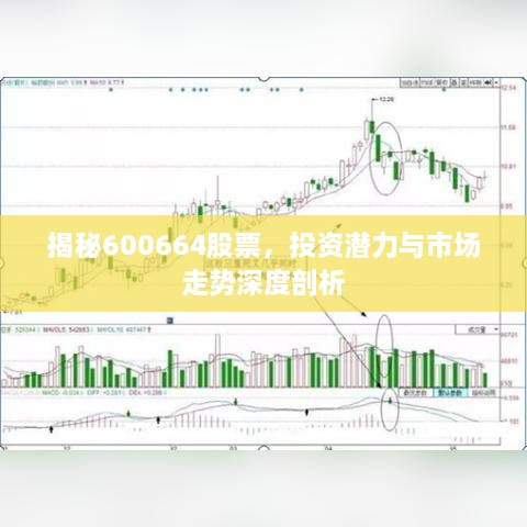 揭秘600664股票，投資潛力與市場(chǎng)走勢(shì)深度剖析