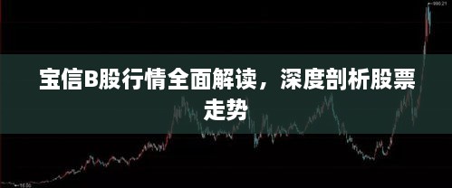 寶信B股行情全面解讀，深度剖析股票走勢(shì)