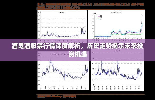 酒鬼酒股票行情深度解析，歷史走勢揭示未來投資機(jī)遇