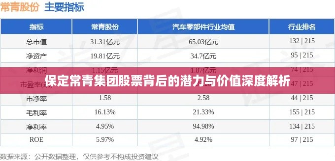 保定常青集團股票背后的潛力與價值深度解析