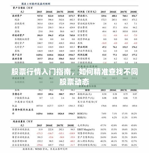 股票行情入門指南，如何精準(zhǔn)查找不同股票動(dòng)態(tài)