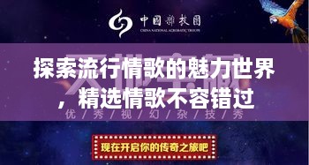 探索流行情歌的魅力世界，精選情歌不容錯過