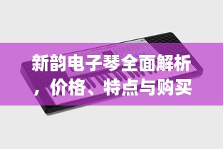 新韻電子琴全面解析，價格、特點(diǎn)與購買建議