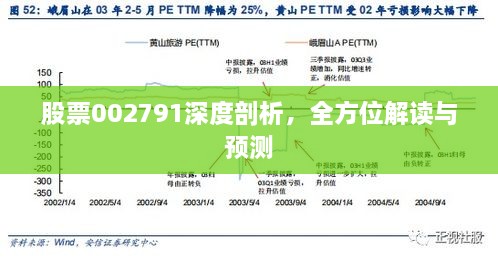 股票002791深度剖析，全方位解讀與預(yù)測