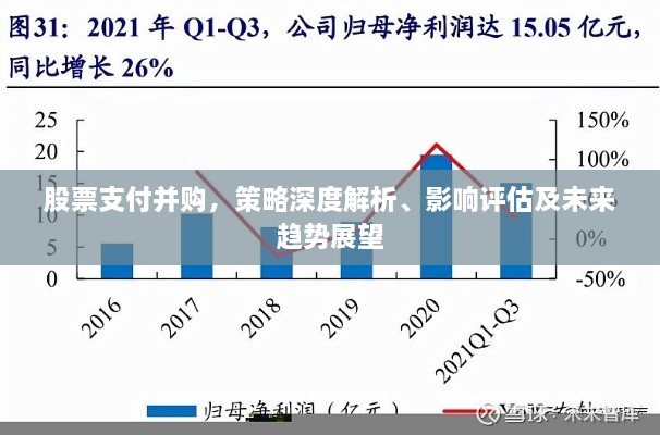 股票支付并購(gòu)，策略深度解析、影響評(píng)估及未來(lái)趨勢(shì)展望