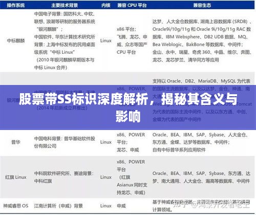 股票帶SS標(biāo)識深度解析，揭秘其含義與影響