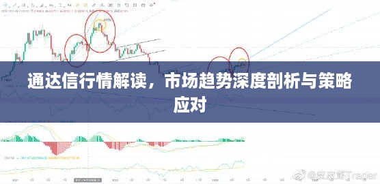 通達信行情解讀，市場趨勢深度剖析與策略應(yīng)對