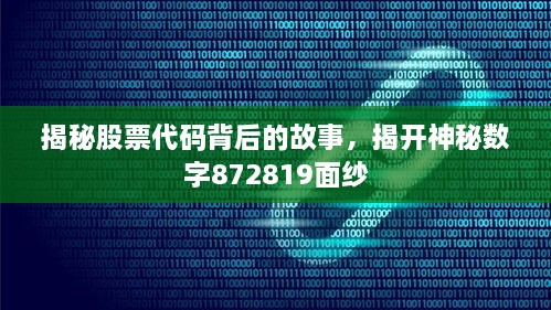 揭秘股票代碼背后的故事，揭開神秘?cái)?shù)字872819面紗