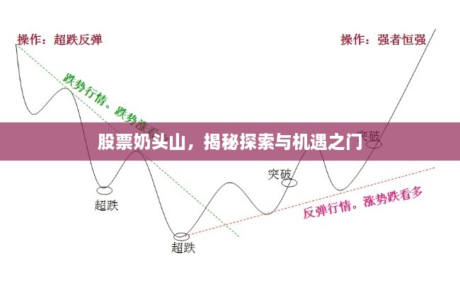 股票奶頭山，揭秘探索與機遇之門