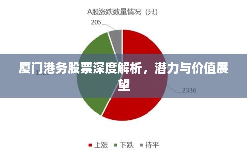 廈門(mén)港務(wù)股票深度解析，潛力與價(jià)值展望