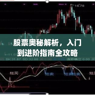 股票奧秘解析，入門到進(jìn)階指南全攻略