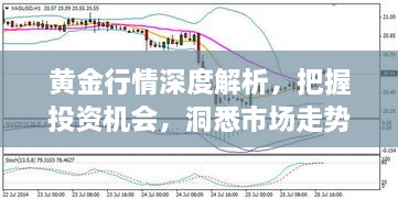 黃金行情深度解析，把握投資機會，洞悉市場走勢